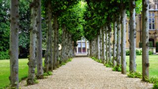 Aakasame kelkka bhoomiye with lyrics - Christian Malayalam Lyrics